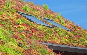 New Swannington living roof systems