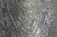 New Swannington fibreglass roof work